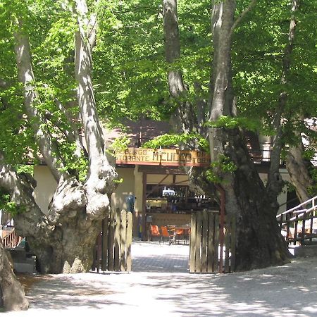 Albergo Ristorante Montecucco Da Tobia Sigillo Luaran gambar