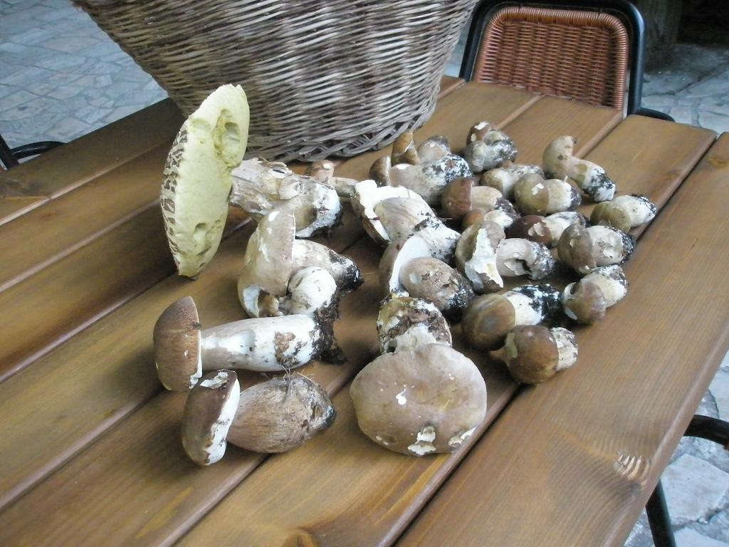 Albergo Ristorante Montecucco Da Tobia Sigillo Luaran gambar