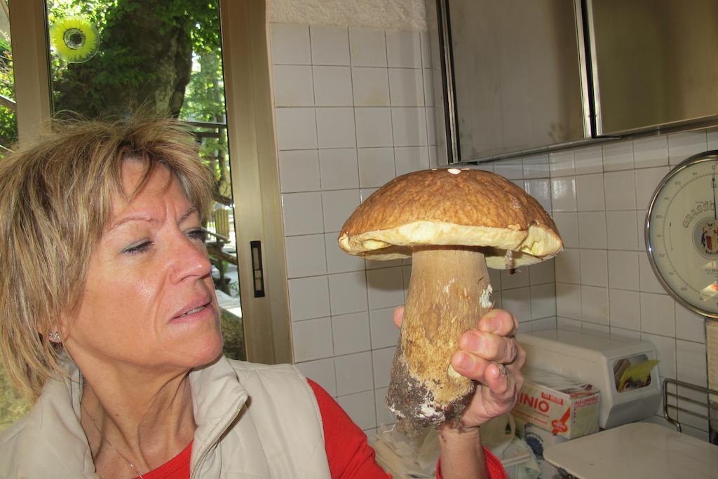 Albergo Ristorante Montecucco Da Tobia Sigillo Luaran gambar